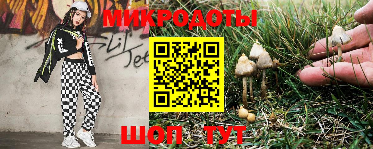 Химки  Псилоцибиновые грибы MAGIC MUSHROOMS  Вход с VPN 